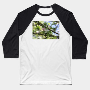 Apple Blossom Baseball T-Shirt